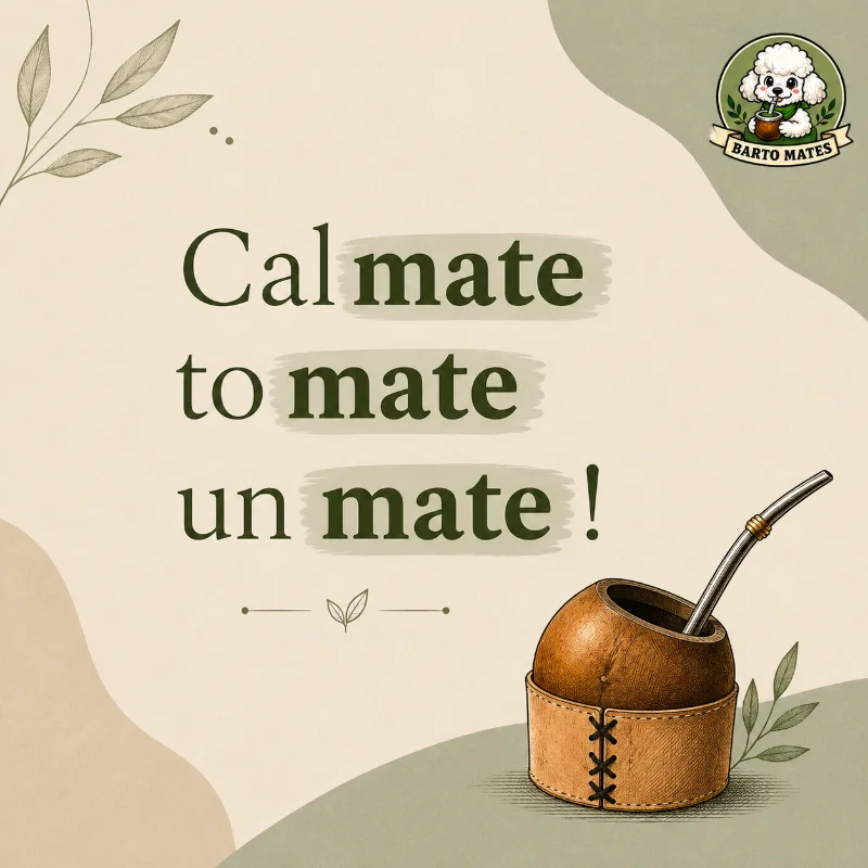 Post de Instagram de Barto Mates